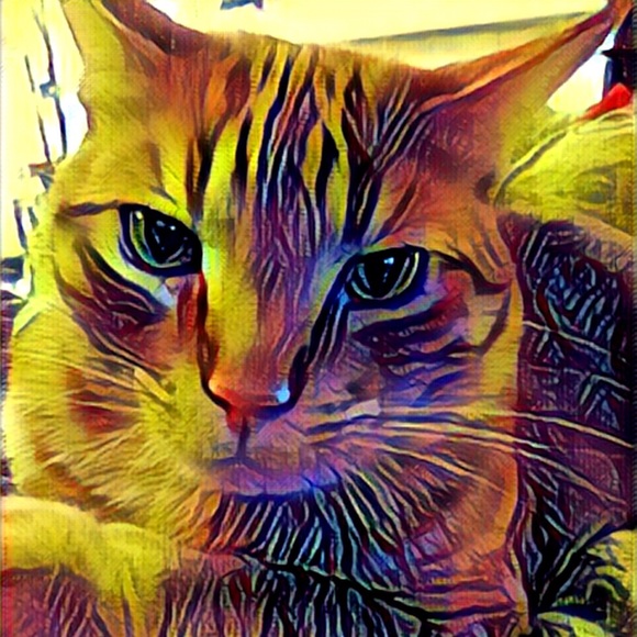 jlaboo